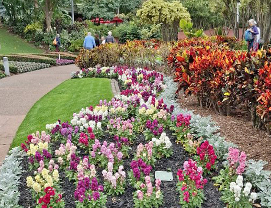 The colourful displays of flowers and foliage in the Roma Street Parklands.